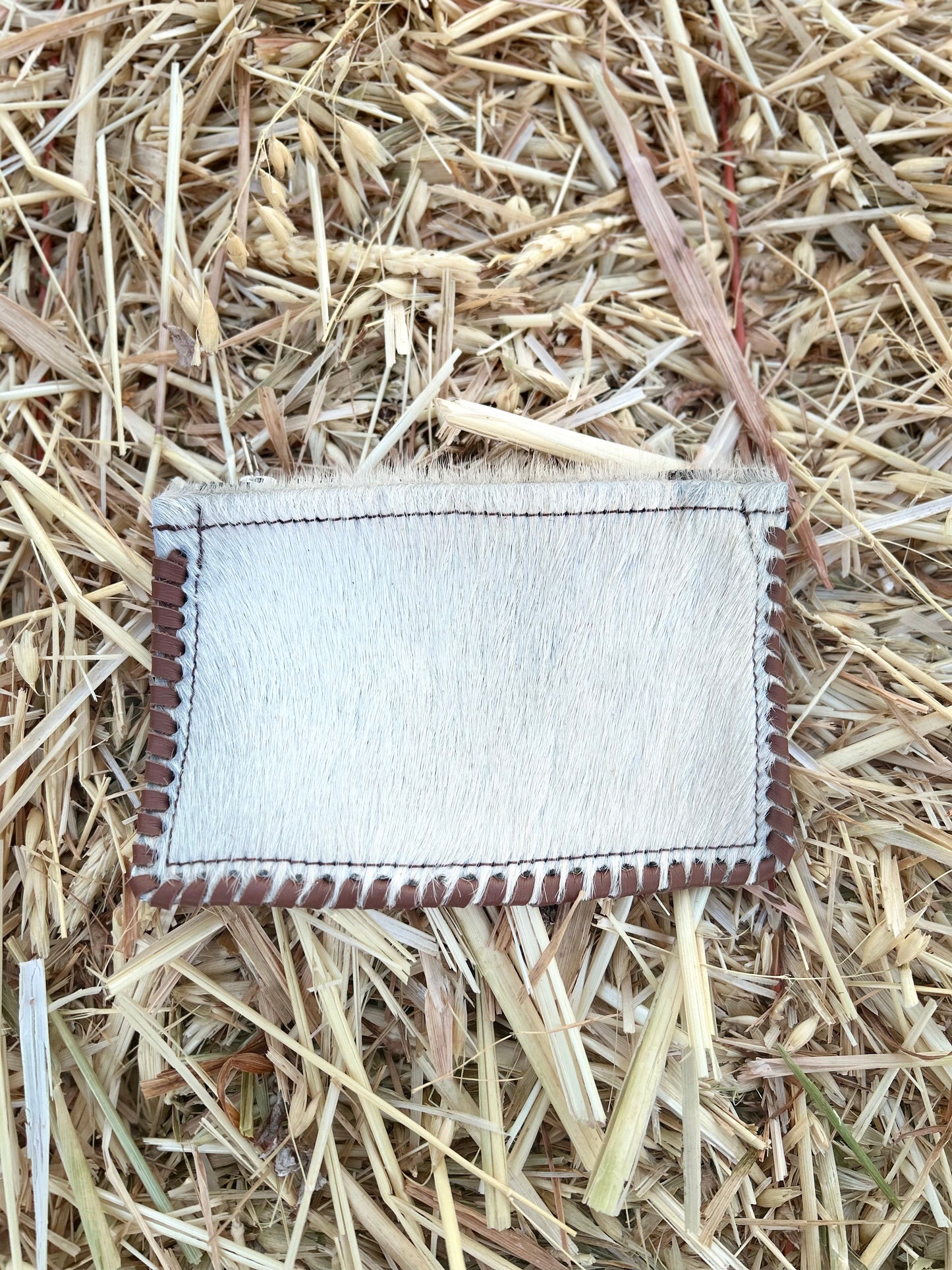 Coin purse 031